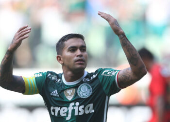 Dudu - Palmeiras
