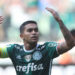 Dudu - Palmeiras