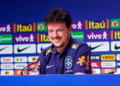 Fernando Diniz - Seleção Brasileira