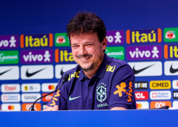 Fernando Diniz - Seleção Brasileira