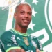 Caio Paulista - Palmeiras