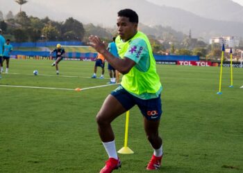 Endrick - Seleção Brasileira