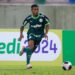 Kauan Santos - Palmeiras