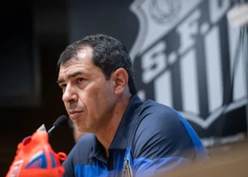 Fábio Carille - Santos