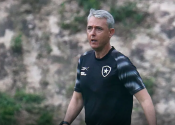 Tiago Nunes - Botafogo