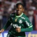 Endrick - Palmeiras