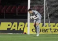 Rafael - São Paulo